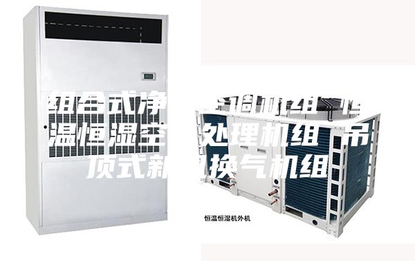 组合式净化空调机组 恒温恒湿空气处理机组 吊顶式新风换气机组
