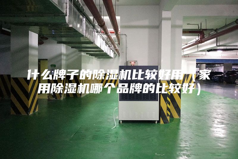什么牌子的除湿机比较好用（家用除湿机哪个品牌的比较好）