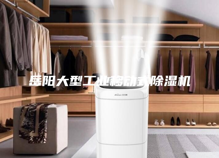 岳阳大型工业移动式除湿机
