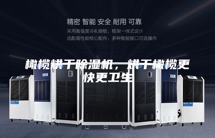 橄榄烘干除湿机，烘干橄榄更快更卫生