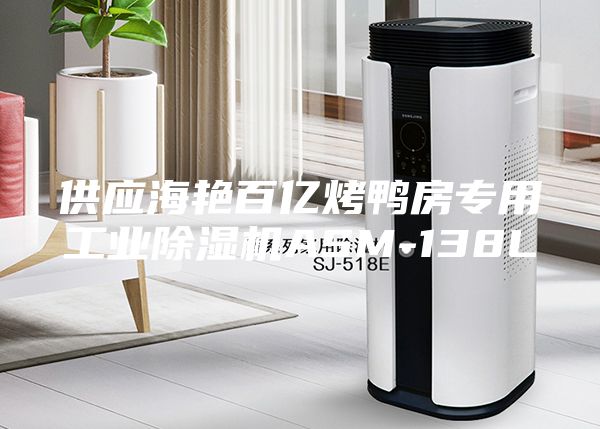 供应海艳百亿烤鸭房专用工业除湿机ASM-138L