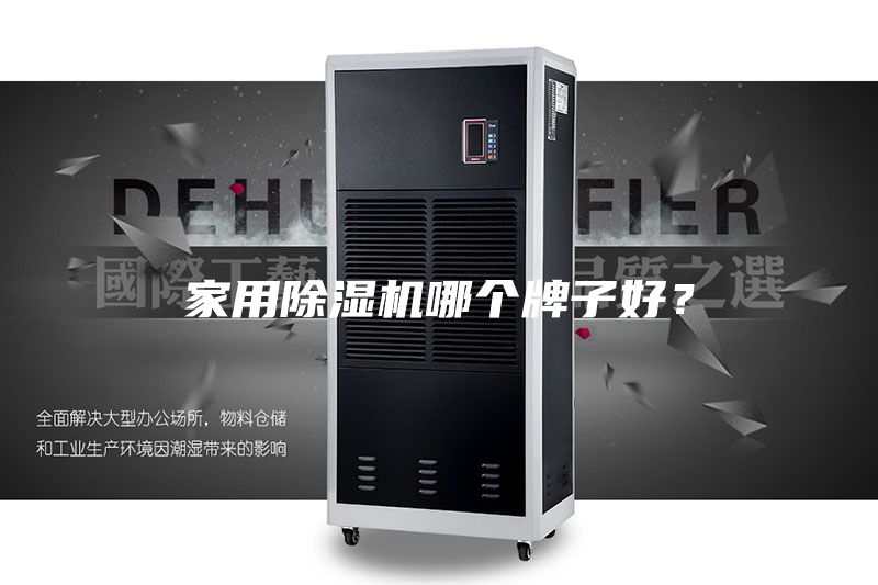 家用除湿机哪个牌子好？