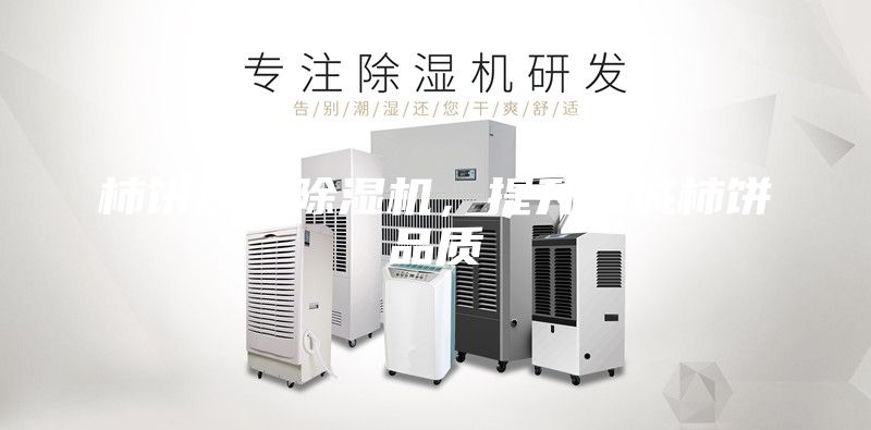 柿饼烘干除湿机，提升恭城柿饼品质