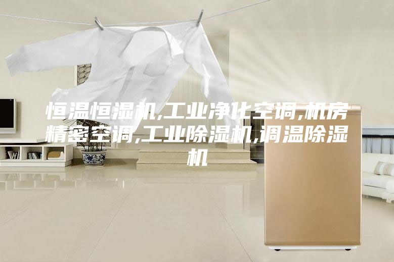 恒温恒湿机,工业净化空调,机房精密空调,工业除湿机,调温除湿机