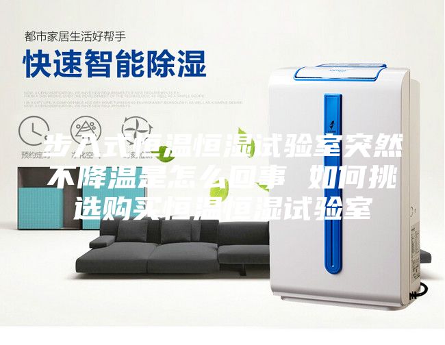 步入式恒温恒湿试验室突然不降温是怎么回事 如何挑选购买恒温恒湿试验室