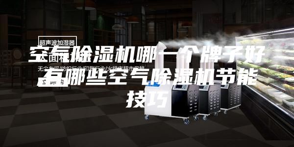 空气除湿机哪一个牌子好,有哪些空气除湿机节能技巧