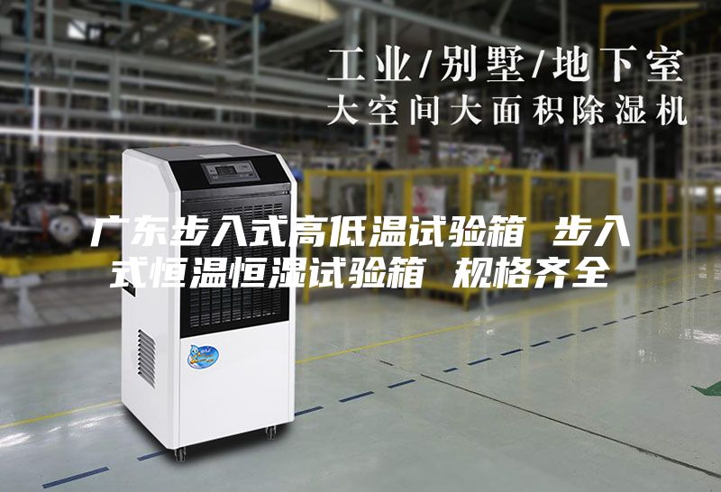 广东步入式高低温试验箱 步入式恒温恒湿试验箱 规格齐全