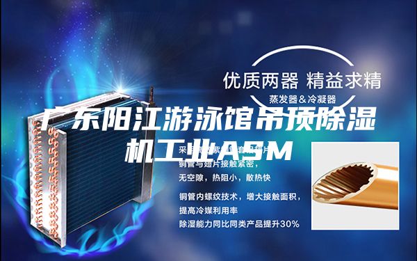 广东阳江游泳馆吊顶除湿机工业ASM