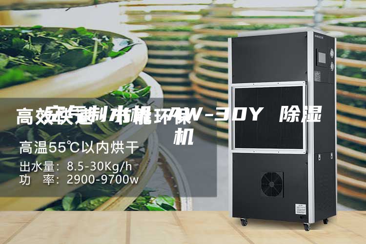 空气制水机 AW-30Y 除湿机