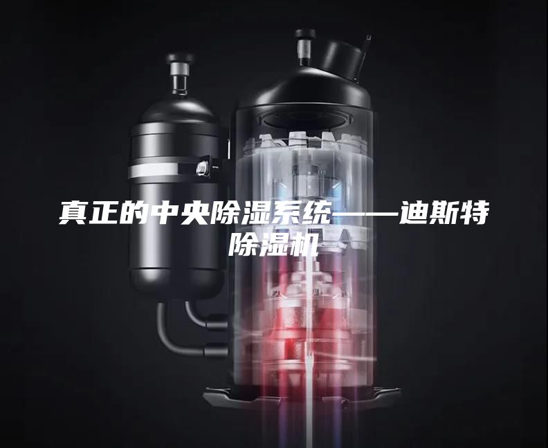 真正的中央除湿系统——迪斯特除湿机