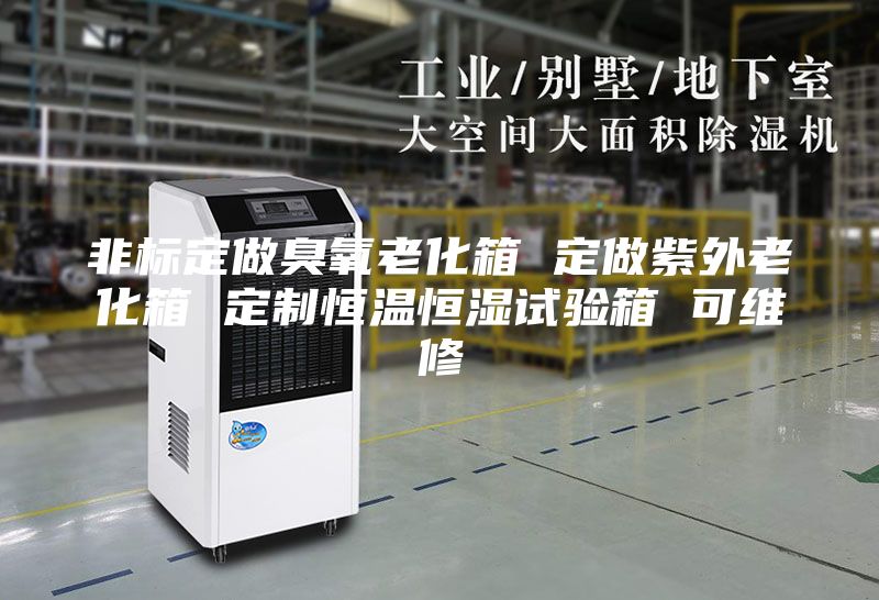 非标定做臭氧老化箱 定做紫外老化箱 定制恒温恒湿试验箱 可维修