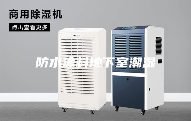 防水涂料地下室潮湿