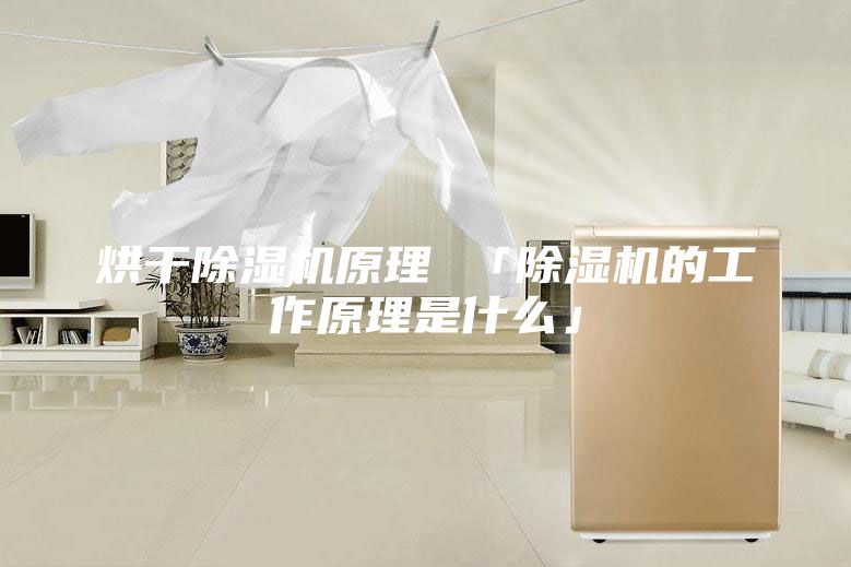 烘干除湿机原理 「除湿机的工作原理是什么」