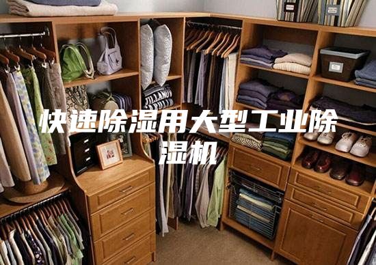 快速除湿用大型工业除湿机