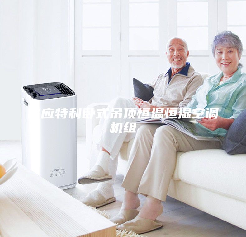 供应特利卧式吊顶恒温恒湿空调机组