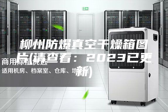 柳州防爆真空干燥箱图片(请查看：2023已更新)