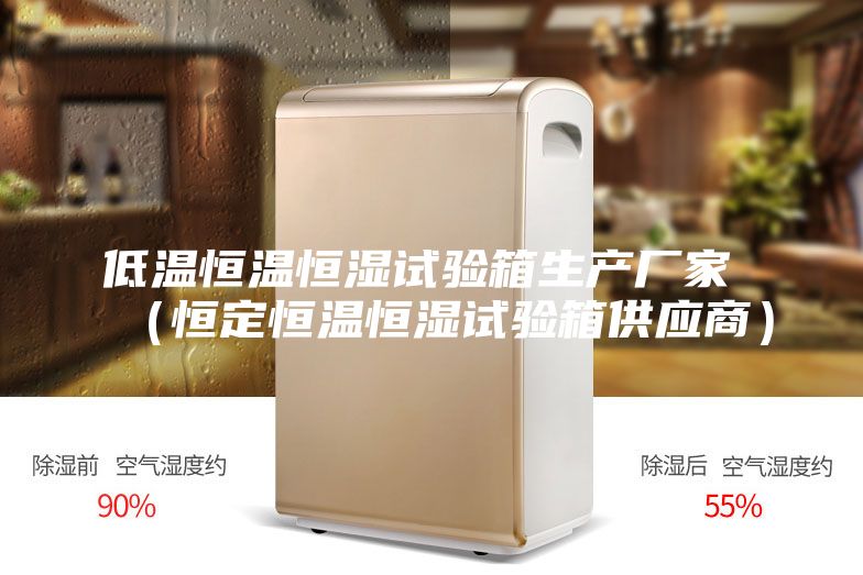 低温恒温恒湿试验箱生产厂家 （恒定恒温恒湿试验箱供应商）