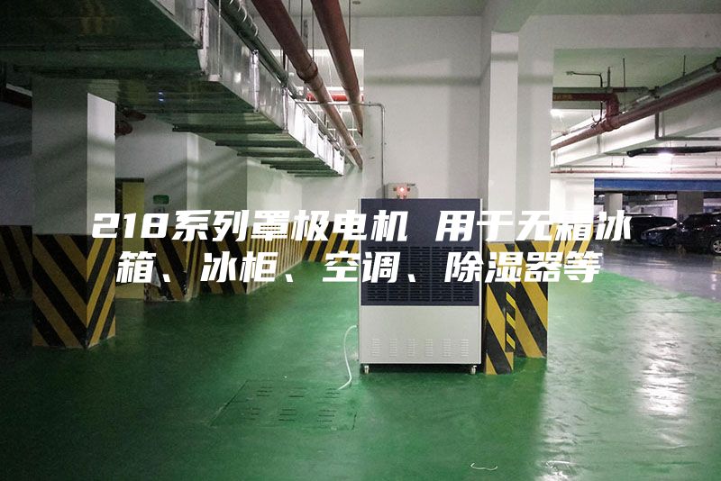 218系列罩极电机 用于无霜冰箱、冰柜、空调、除湿器等