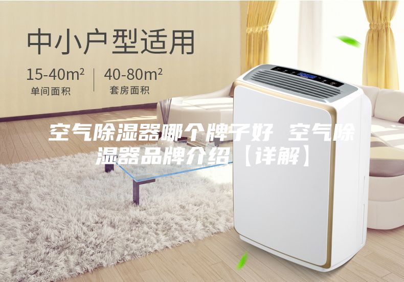 空气除湿器哪个牌子好 空气除湿器品牌介绍【详解】