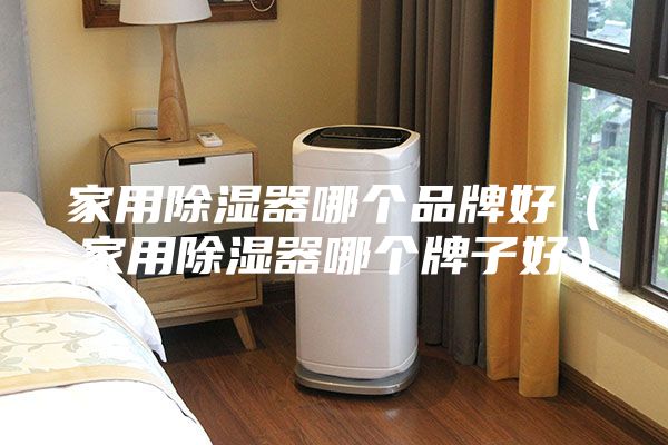 家用除湿器哪个品牌好（家用除湿器哪个牌子好）