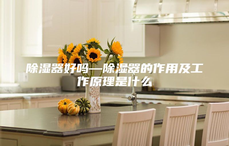 除湿器好吗—除湿器的作用及工作原理是什么