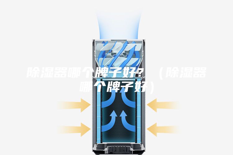 除湿器哪个牌子好？（除湿器哪个牌子好）