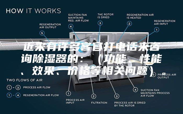 近来有许多客官打电话来咨询除湿器的：（功能、性能、效果、价格等相关问题）。