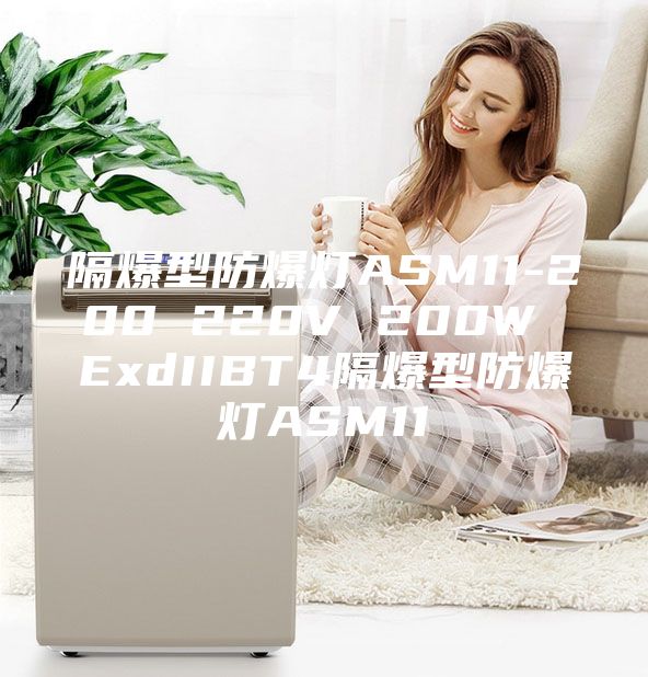 隔爆型防爆灯ASM11-200 220V 200W ExdIIBT4隔爆型防爆灯ASM11