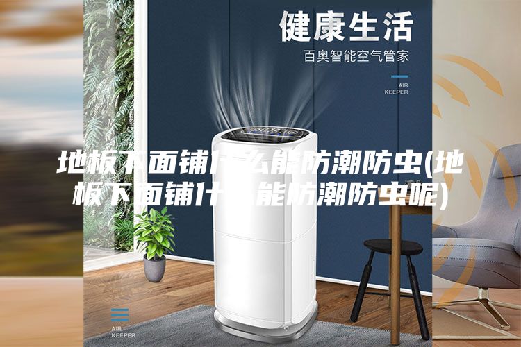 地板下面铺什么能防潮防虫(地板下面铺什么能防潮防虫呢)