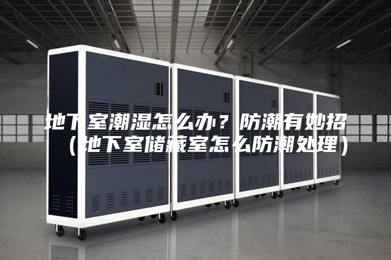 地下室潮湿怎么办？防潮有妙招（地下室储藏室怎么防潮处理）