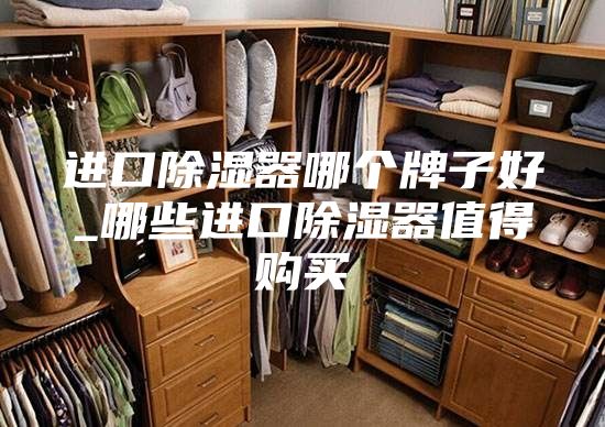 进口除湿器哪个牌子好_哪些进口除湿器值得购买