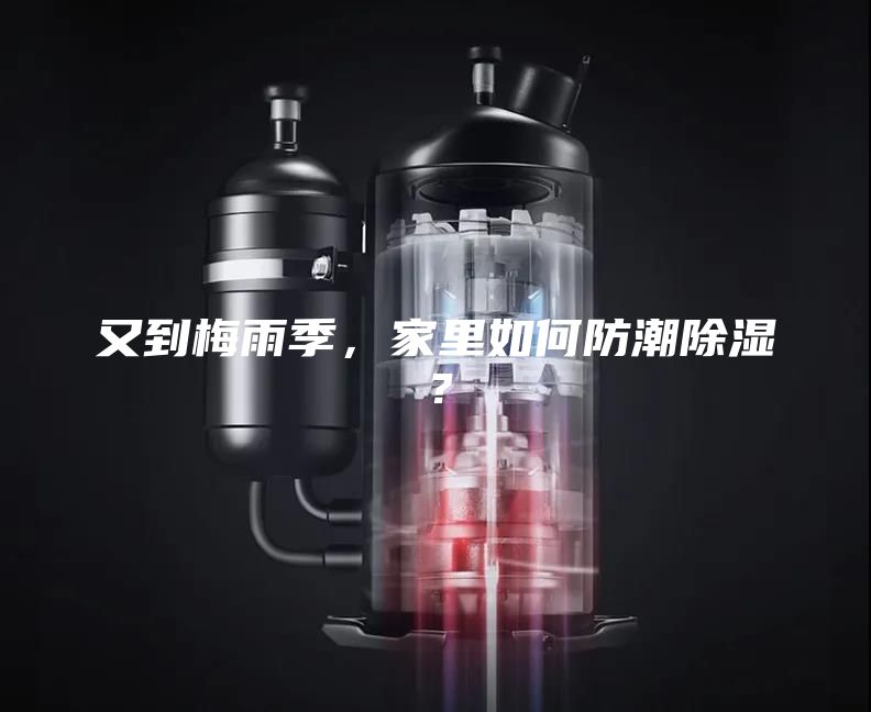 又到梅雨季，家里如何防潮除湿？