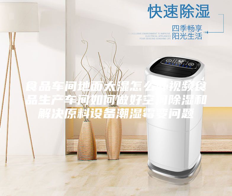 食品车间地面太湿怎么办视频食品生产车间如何做好空间除湿和解决原料设备潮湿霉变问题