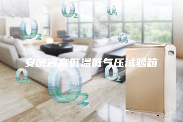安徽省高低温低气压试验箱