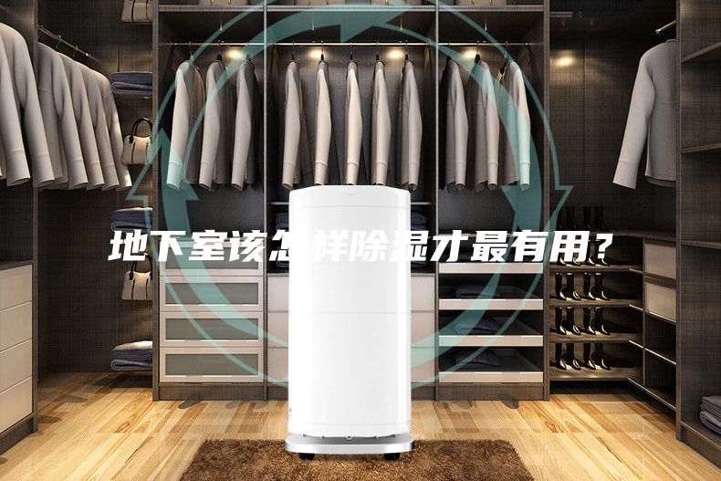 地下室该怎样除湿才最有用?