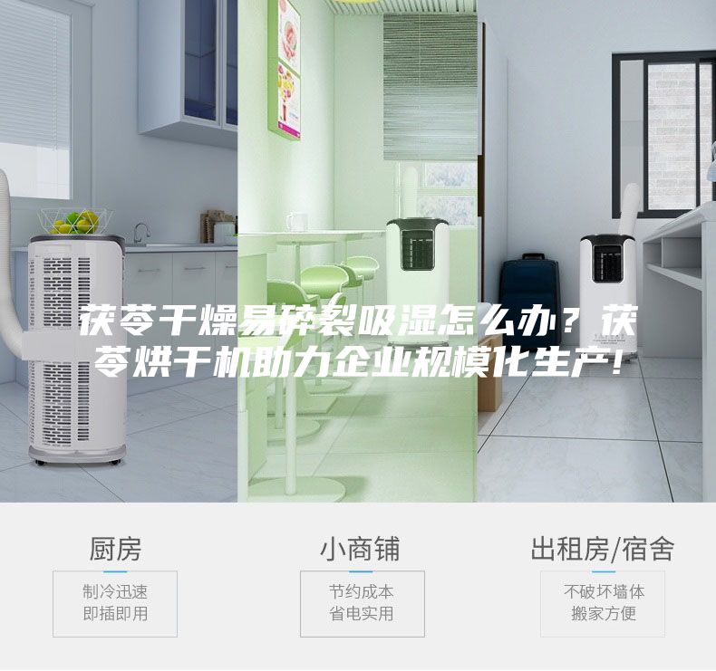 茯苓干燥易碎裂吸湿怎么办？茯苓烘干机助力企业规模化生产!