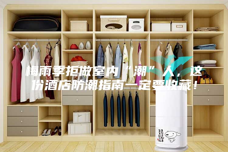梅雨季拒做室内“潮”人，这份酒店防潮指南一定要收藏！