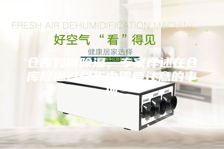 仓库如何除湿，专家详述在仓库除湿过程当中需要注意的事项