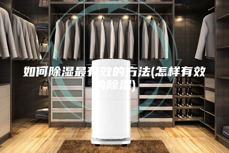 如何除湿最有效的方法(怎样有效的除湿)