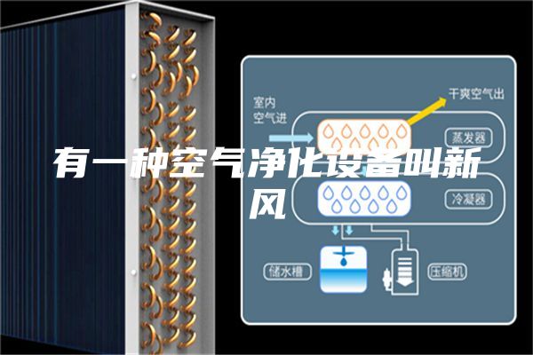 有一种空气净化设备叫新风